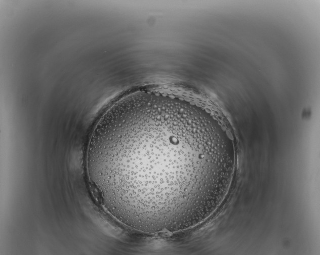 X0000090750249200707271451