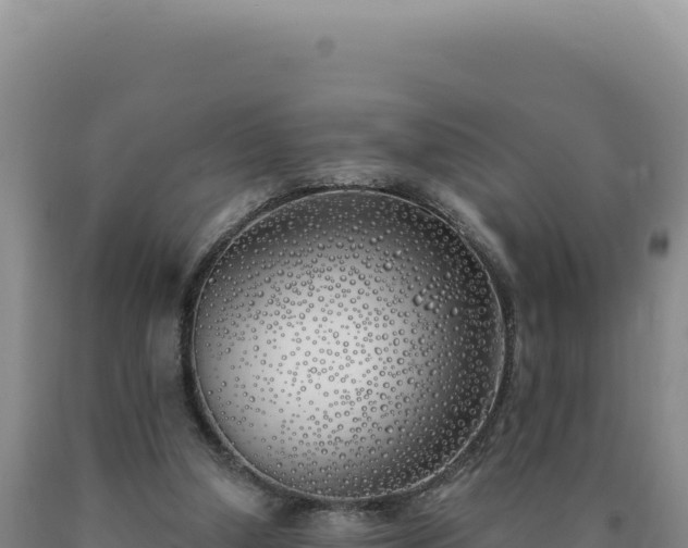 X0000090750250200707271451