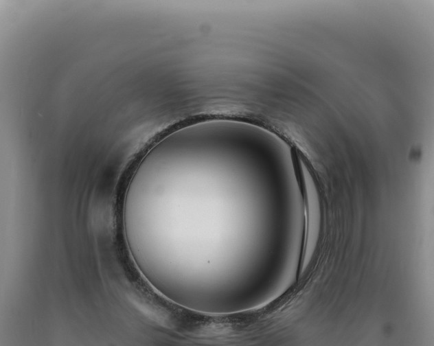 X0000090750252200707271451