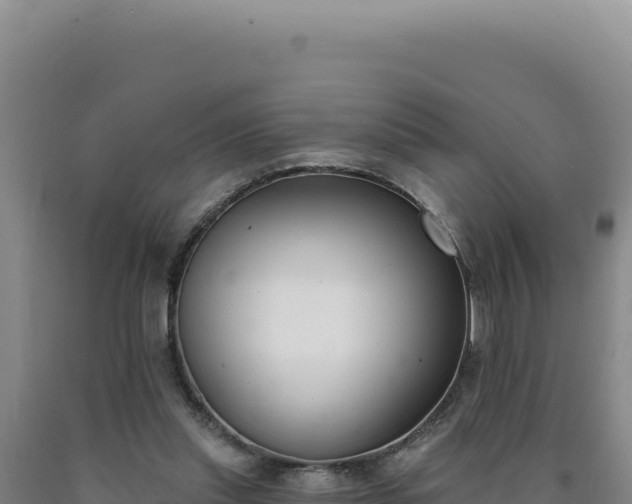 X0000090750253200707271451