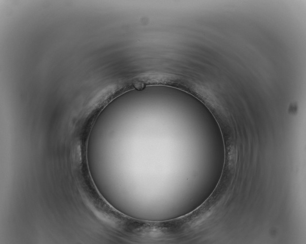 X0000090750254200707271451