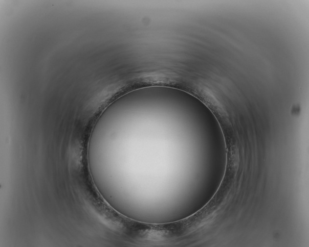 X0000090750255200707271451