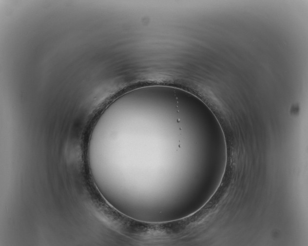 X0000090750256200707271451