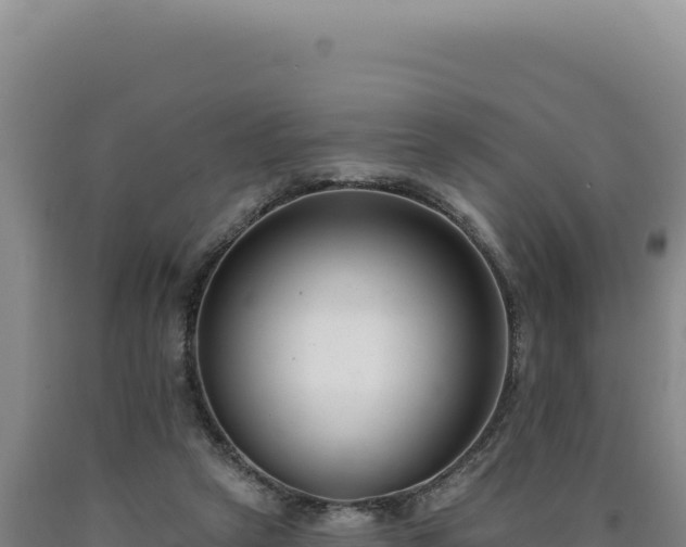 X0000090750257200707271451