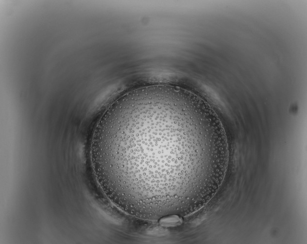 X0000090750258200707271451