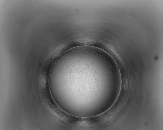 X0000090750259200707271451