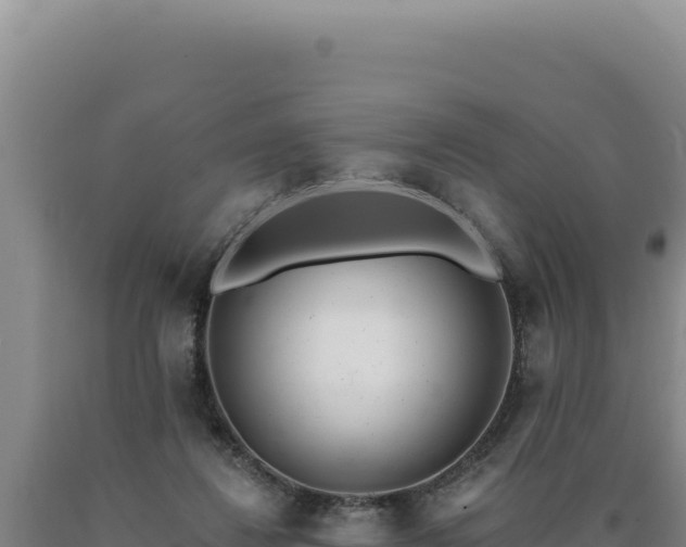 X0000090750260200707271451