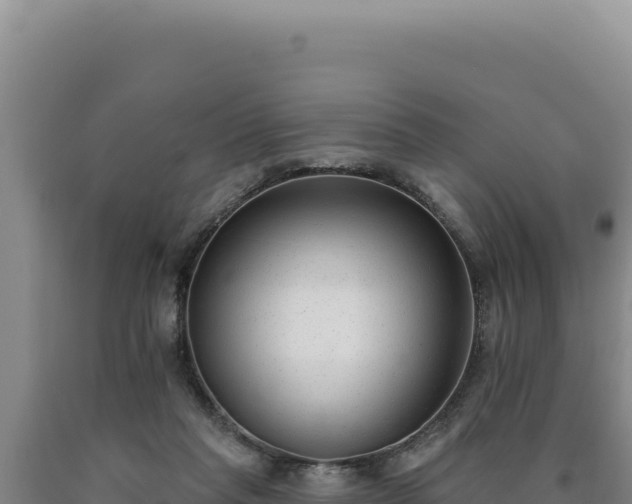 X0000090750261200707271451