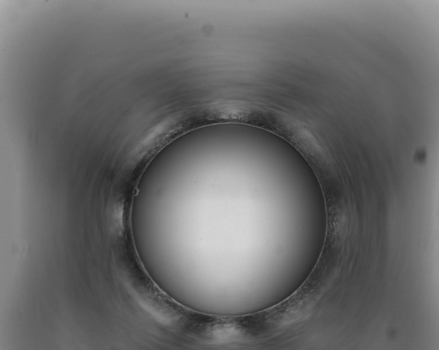 X0000090750262200707271451