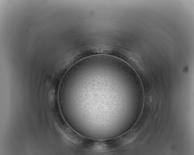 X0000090750263200707271451