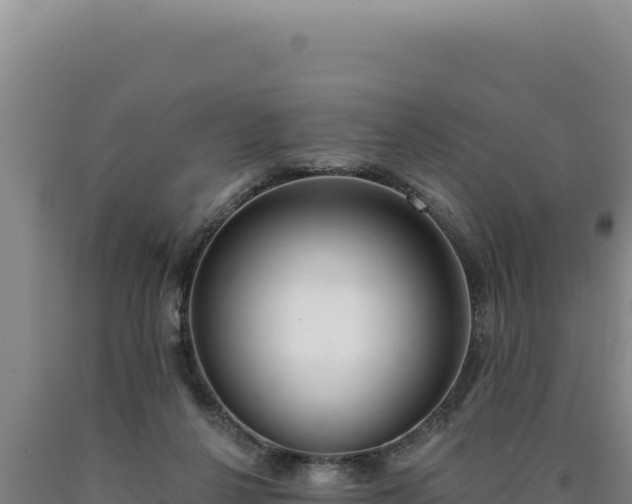 X0000090750264200707271451