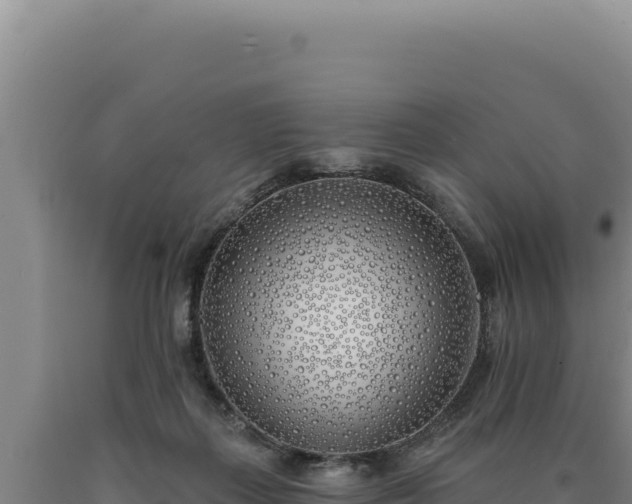 X0000090750267200707271451