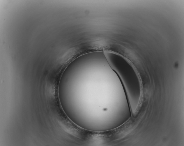 X0000090750268200707271451