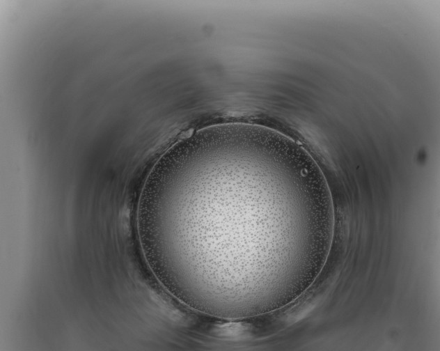 X0000090750269200707271451