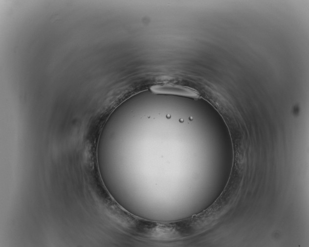 X0000090750270200707271451