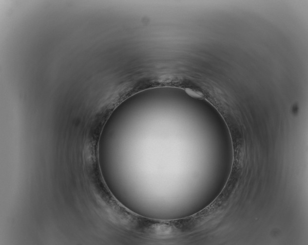 X0000090750272200707271451