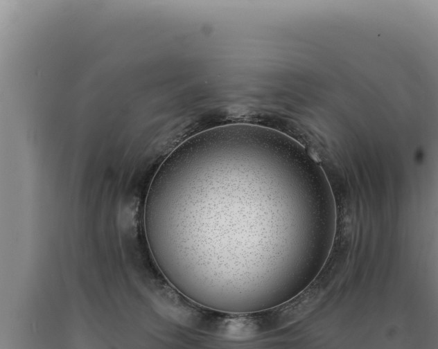 X0000090750275200707271451