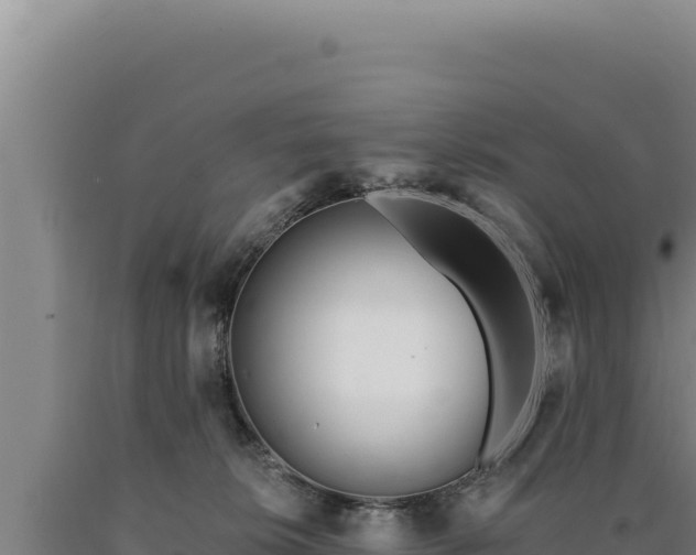 X0000090750276200707271451