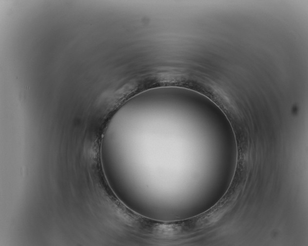 X0000090750277200707271451