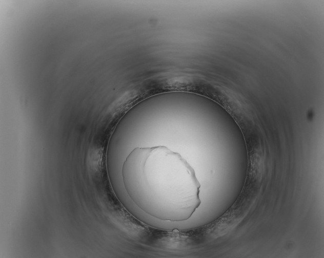 X0000090750278200707271451