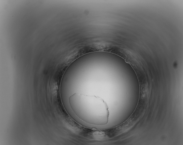 X0000090750279200707271451