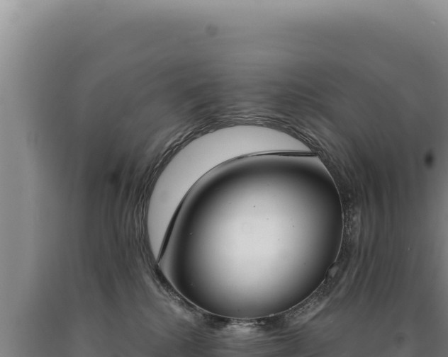 X0000090750280200707271451