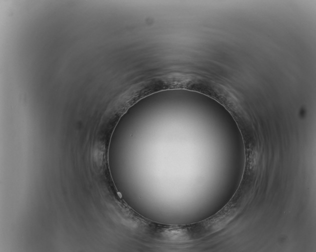 X0000090750283200707271452