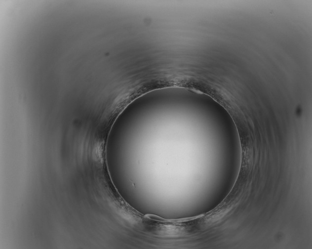 X0000090750286200707271452