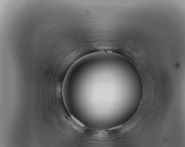 X0000090750288200707271452