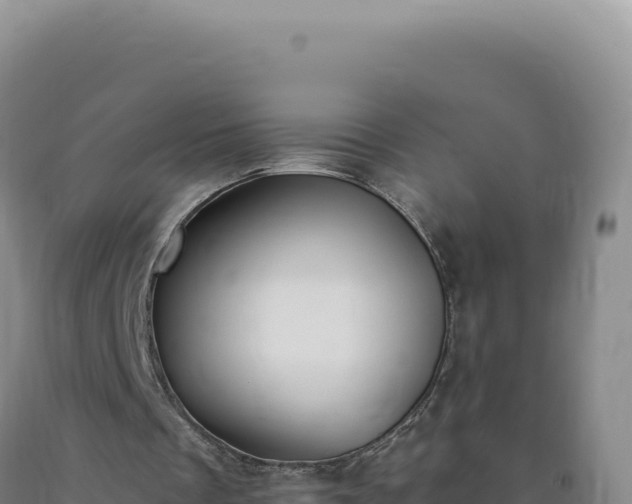 X0000090750289200707271451