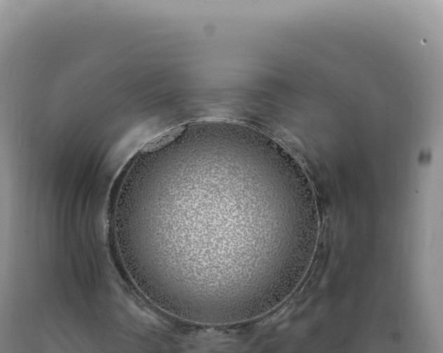 X0000090750290200707271451