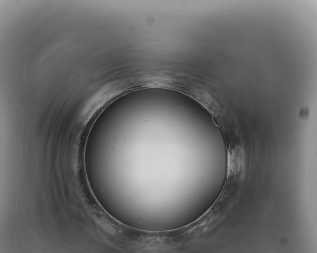 X0000090750291200707271451