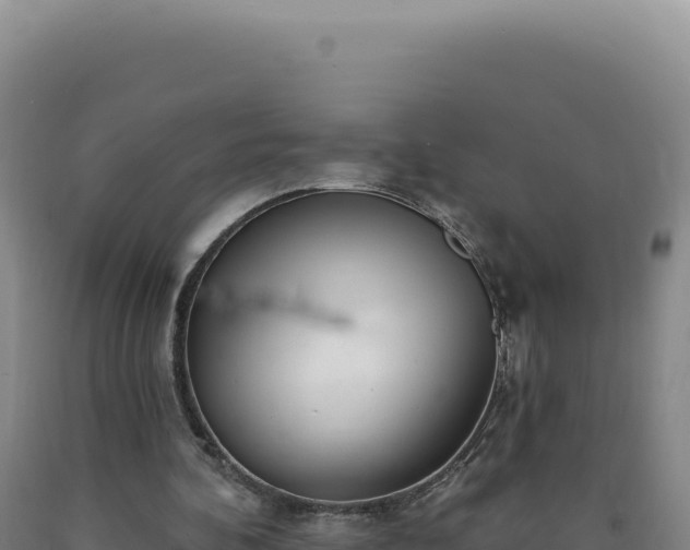 X0000090750292200707271451