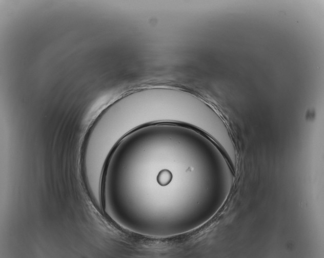 X0000090750293200707271451