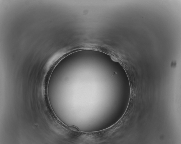 X0000090750294200707271451