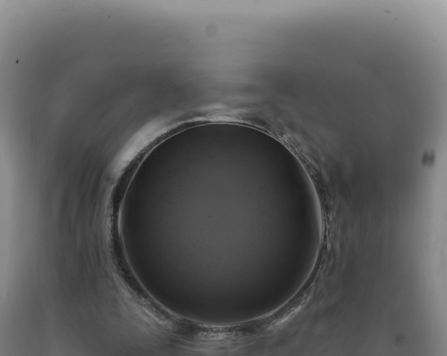 X0000090750295200707271451