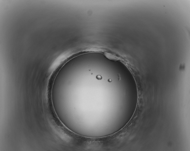 X0000090750296200707271451