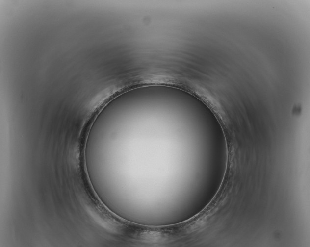 X0000090750298200707271451