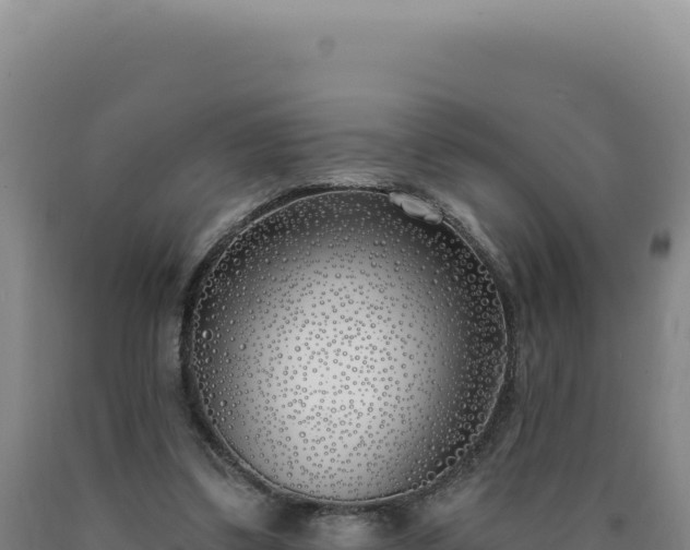 X0000090750299200707271451