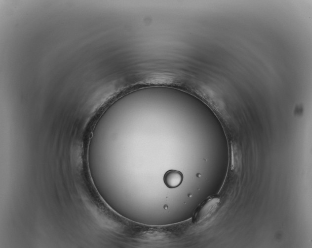 X0000090750300200707271451