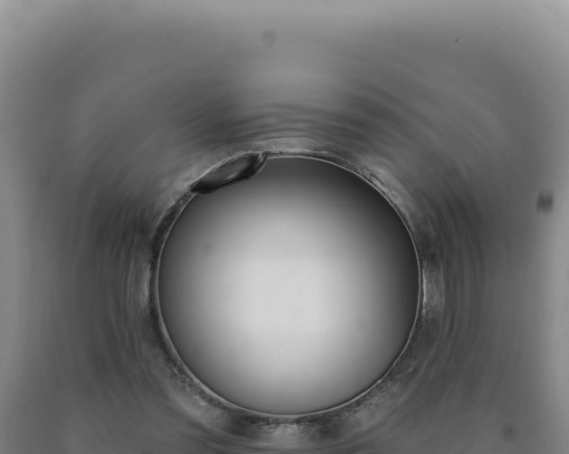 X0000090750301200707271451