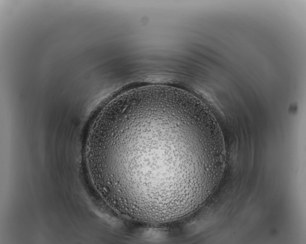 X0000090750303200707271451