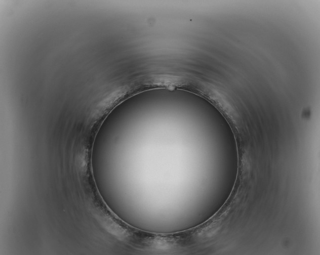 X0000090750305200707271451