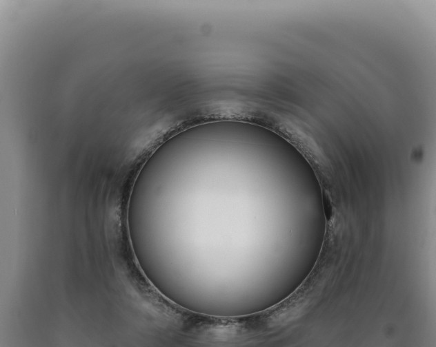 X0000090750306200707271451