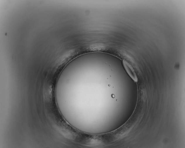 X0000090750308200707271451