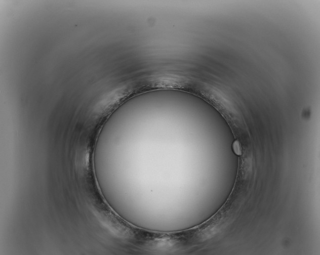 X0000090750310200707271451