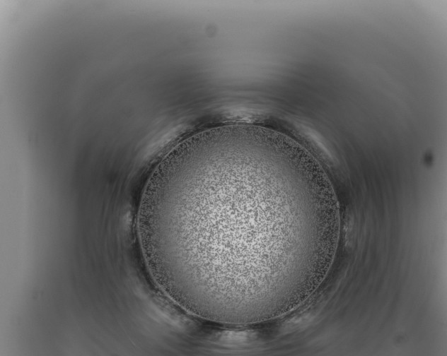 X0000090750314200707271451