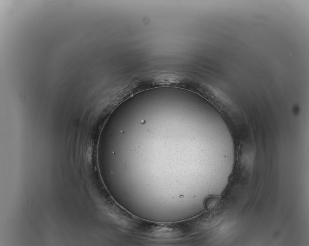 X0000090750315200707271451