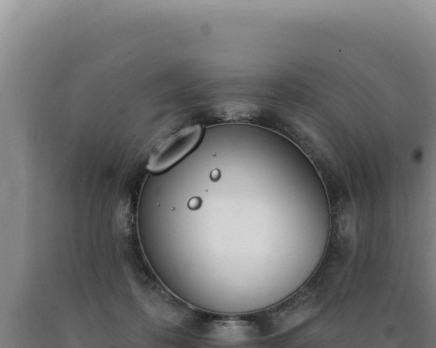 X0000090750316200707271451