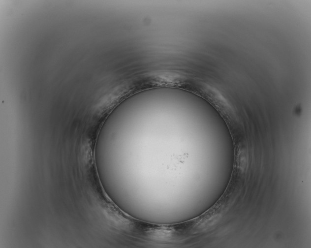 X0000090750318200707271451